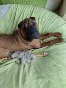 Da bin ich noch klein