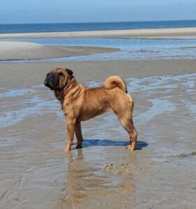 Da bin ich im Urlaub